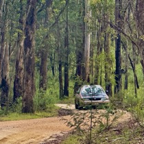 Carrigan and Woolley_Alpine Winners 2025